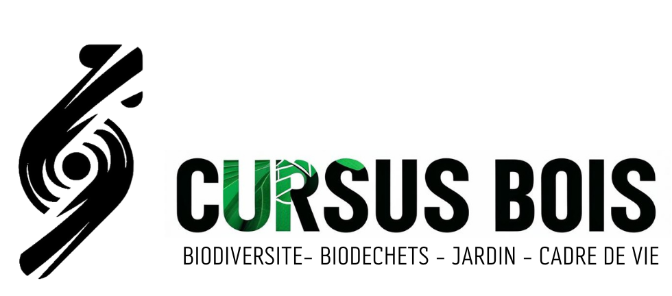 CURSUS BOIS